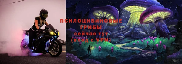 круглые Рославль