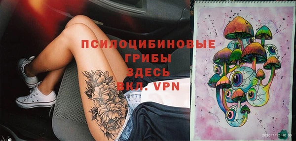 круглые Рославль