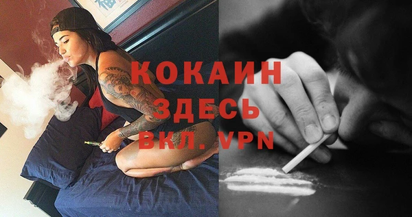 сатива Россошь