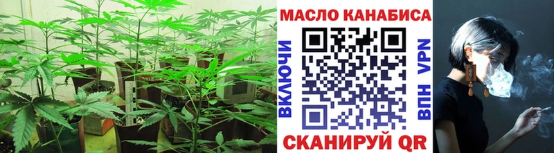 Дистиллят ТГК Wax  Купить закладки  Княгинино 